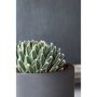 Pottery Pots Refined Max ronde plantenbak zwart binnen detail